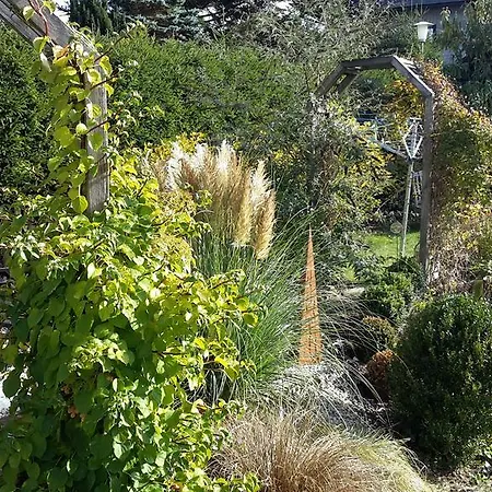 Apartmán Wildnisresidenz Am Nationalpark