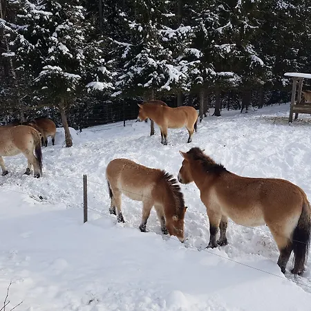 Διαμέρισμα Wildnisresidenz Am Nationalpark